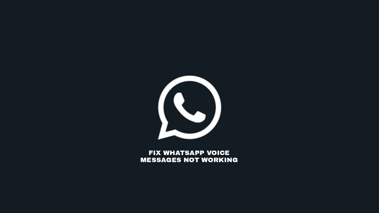 Whatsapp Voice Message Not Working 12 Ways To Fix It Solved