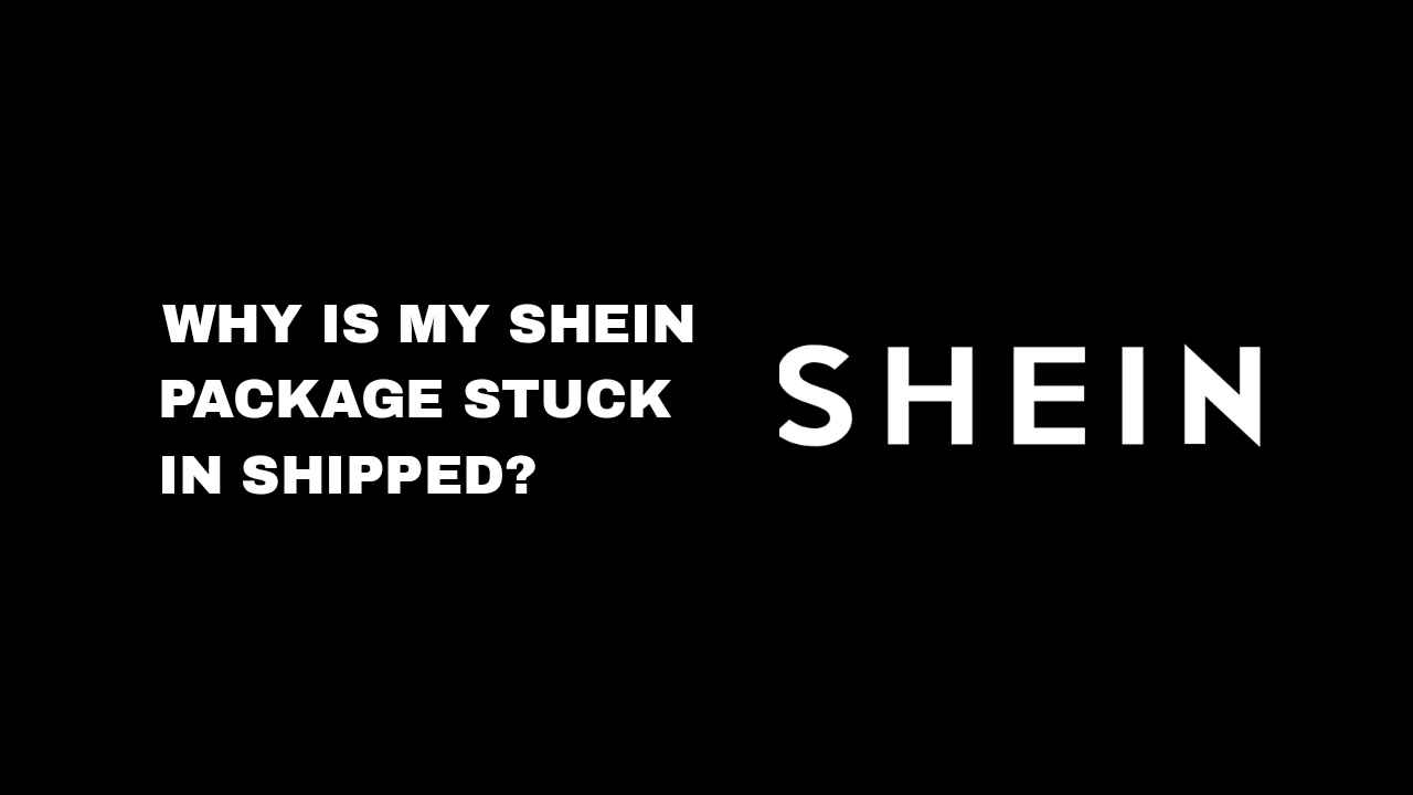Unsuccessful Shein Order - RENEGADE7X